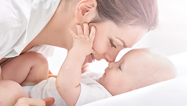 Procreation Assistée